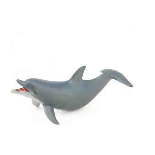 Афалина - большой дельфин 11 см Tursiops truncatus фигурка-игрушка арт. 650713302
