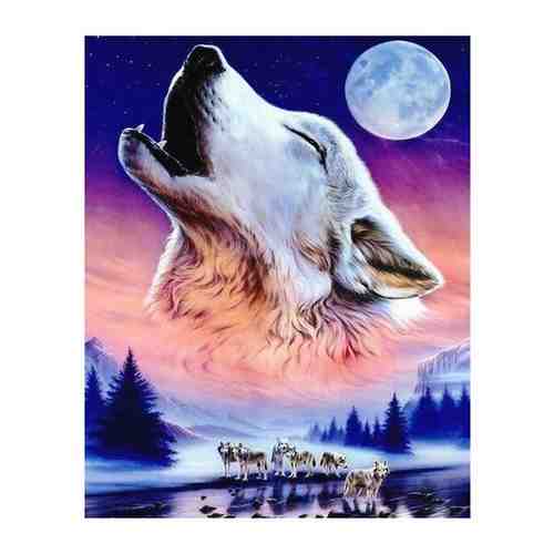 Алмазная мозаика Colibri Лунный волк 40х50 см Круглая арт. 101717317808