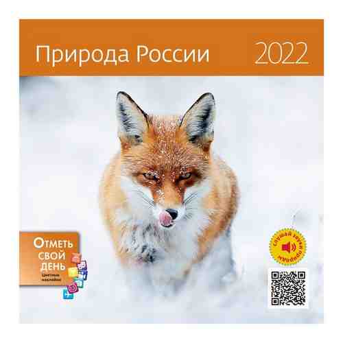 Календарь моноблочный настенный 2022 год Природа России 290х290 мм, 1383770 арт. 1463911643