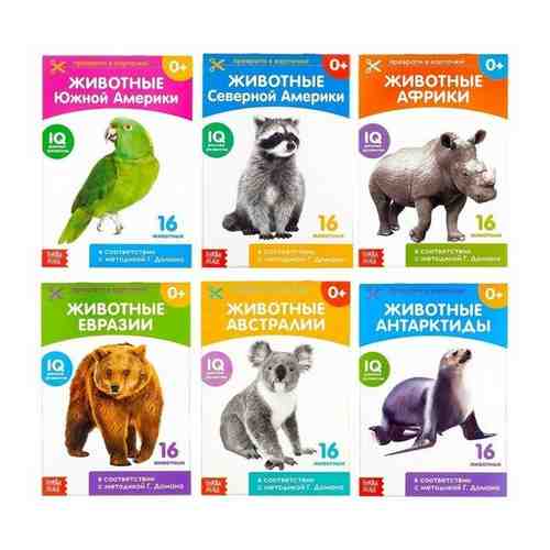 Книги набор «Карточки Домана. Животные материков», 6 шт. по 20 стр. арт. 101359383085