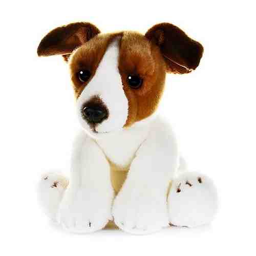 Мягкая игрушка «Собака Джек Рассел», 30 см арт. 101436759543