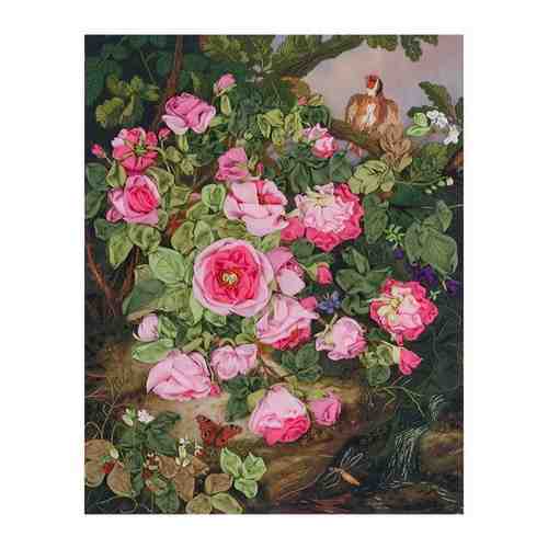 Набор для вышивания PANNA Розы королевы Виктории 19.5х25 см арт. 758960462