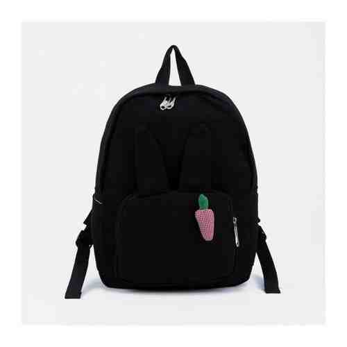 Рюкзак на молнии, 4 наружных кармана, цвет чёрный арт. 101719051985