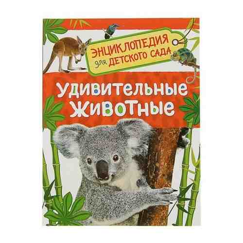 Энциклопедия для детского сада «Удивительные животные» арт. 101462621455