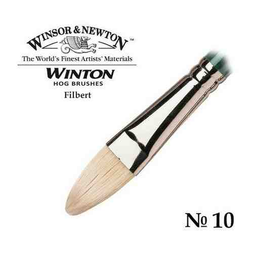 Кисть Winsor&Newton Кисть щетина овальная №10 Winsor&Newton WINTON Filbert арт. 101456759528