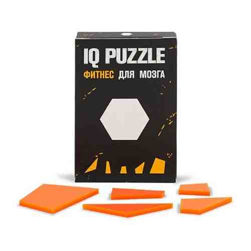 Пазл IQ Puzzle Шестиугольник арт. 101342805593