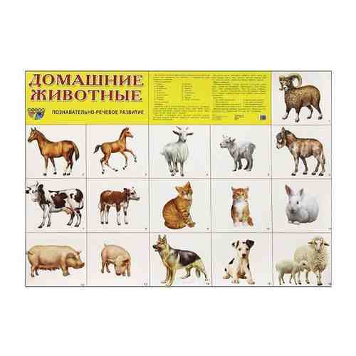 Плакат Домашние животные (познавательное и речевое развитие) (разрезные картинки) (А2), (Сфера, 2022), К, c.1 арт. 815620666