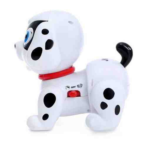 Развивающая игрушка Весёлый щенок, со световыми и звуковыми эффектами, микс ZABIAKA 4587997 . арт. 1444050490