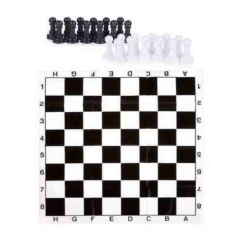 Шахматы Oubaoloon в пакете (835C) арт. 101410391977