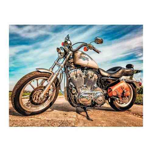 Алмазная мозаика цветной LG226 Harley-Davidson Sportster арт. 1495289378
