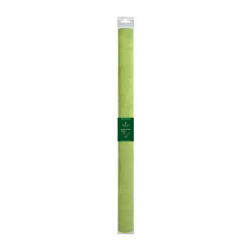 Бумага крепированная Greenwich Line, 50*250см, 32г/м2, светло-зеленая, в рулоне арт. 101384059358
