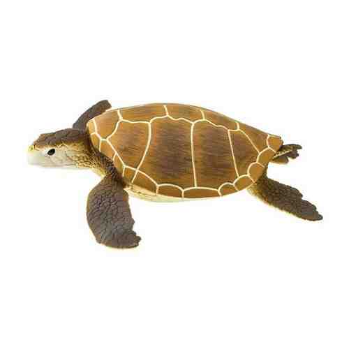 Фигурка Safari Ltd Зеленая морская черепаха арт. 377108278