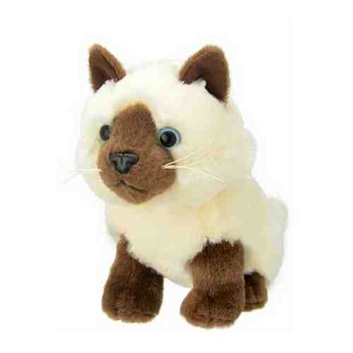Мягкая игрушка All About Nature Сиамская кошка, 20 см арт. 101102419230