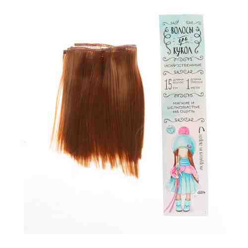 Волосы - тресс для кукол «Прямые» длина волос: 15 см, ширина:100 см, цвет № 27А арт. 100986158137